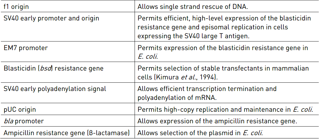 pcDNA6-BioEase-DEST 载体特征2